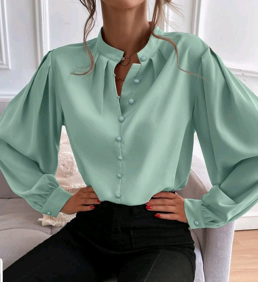 Bishop Sleeve Button Down Blouse
